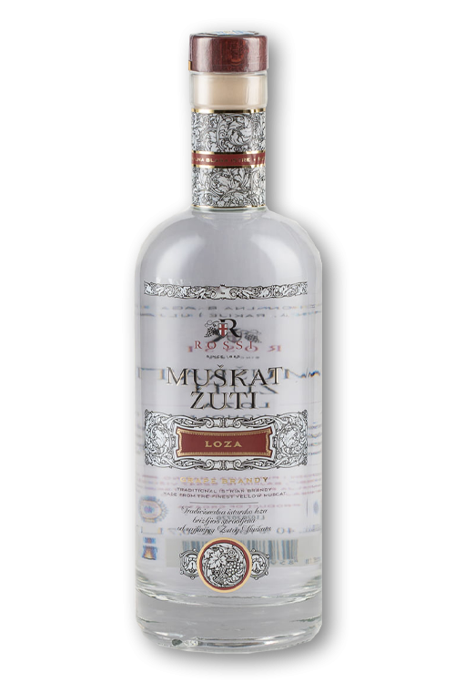 Loza Muškat Žuti Rossi